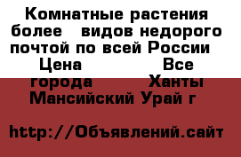 Комнатные растения более200видов недорого почтой по всей России › Цена ­ 100-500 - Все города  »    . Ханты-Мансийский,Урай г.